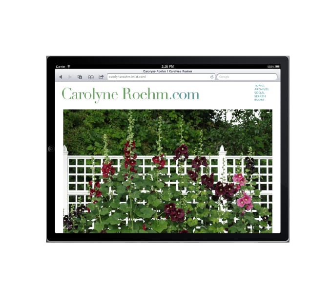 Carolyne Roehm — view 3 of 4